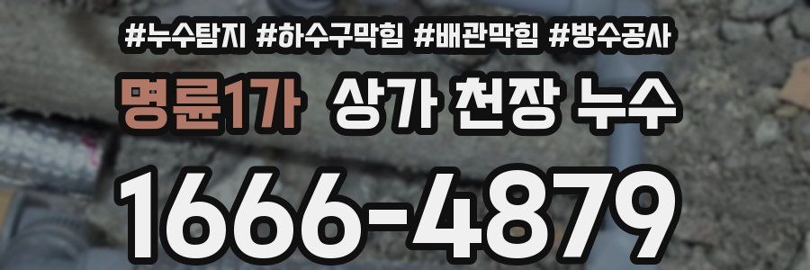 명륜1가 상가 천장 누수