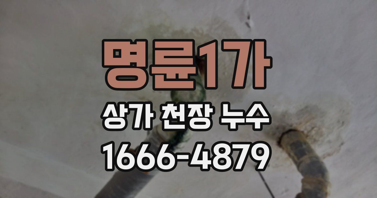 명륜1가 상가 천장 누수