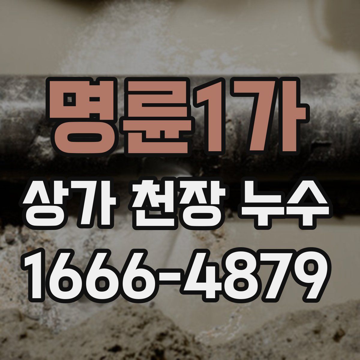 명륜1가 상가 천장 누수