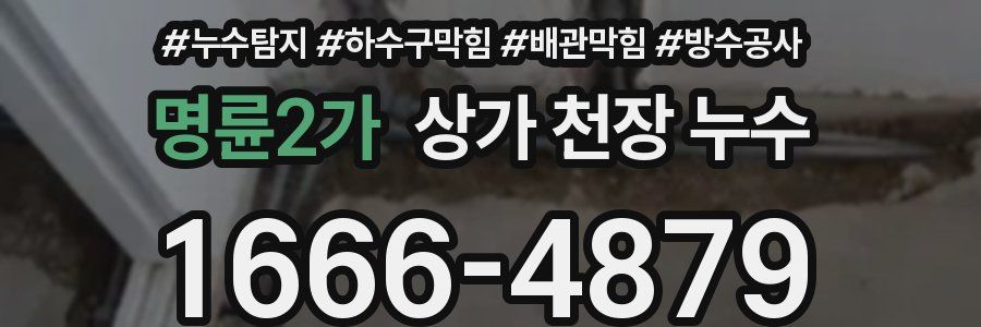 명륜2가 상가 천장 누수