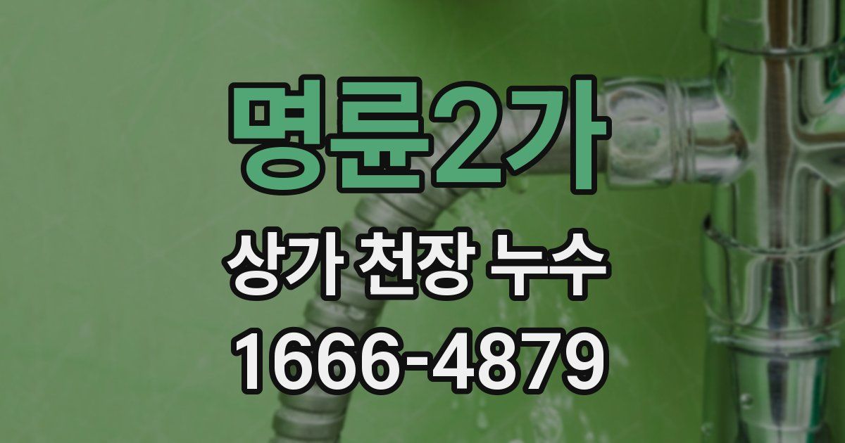 명륜2가 상가 천장 누수
