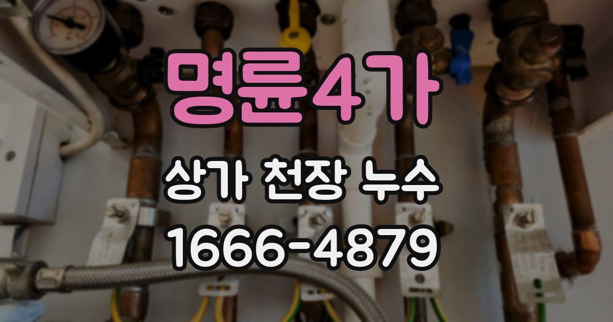 명륜4가 상가 천장 누수