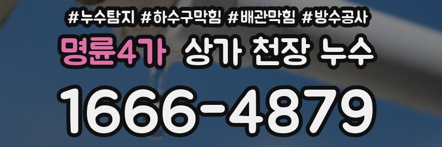 명륜4가 상가 천장 누수
