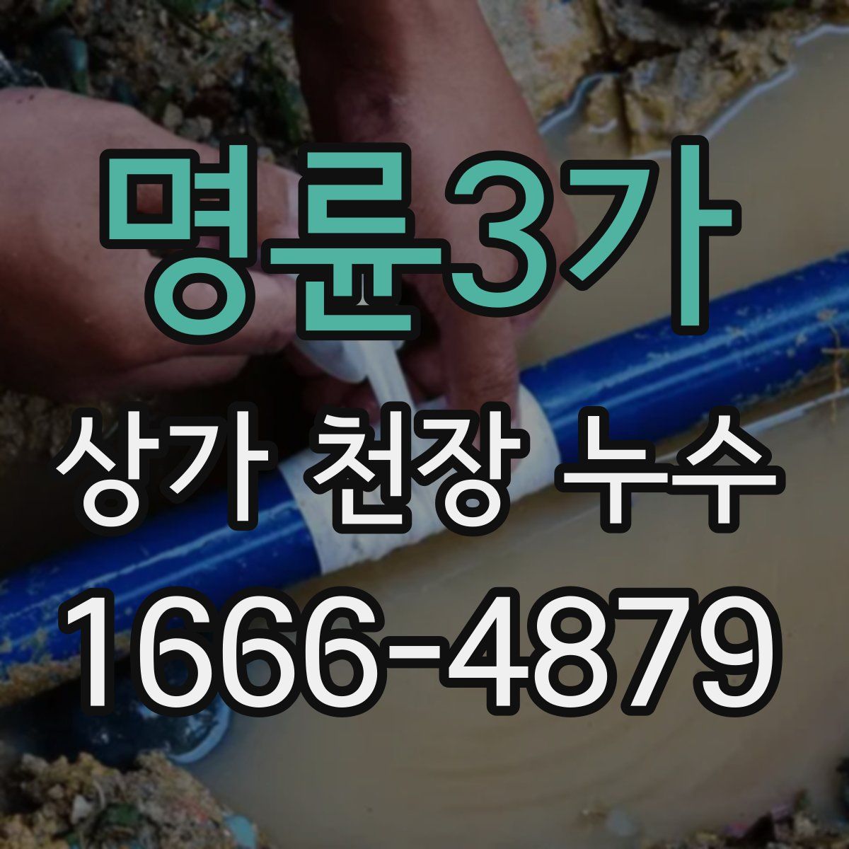 명륜3가 상가 천장 누수