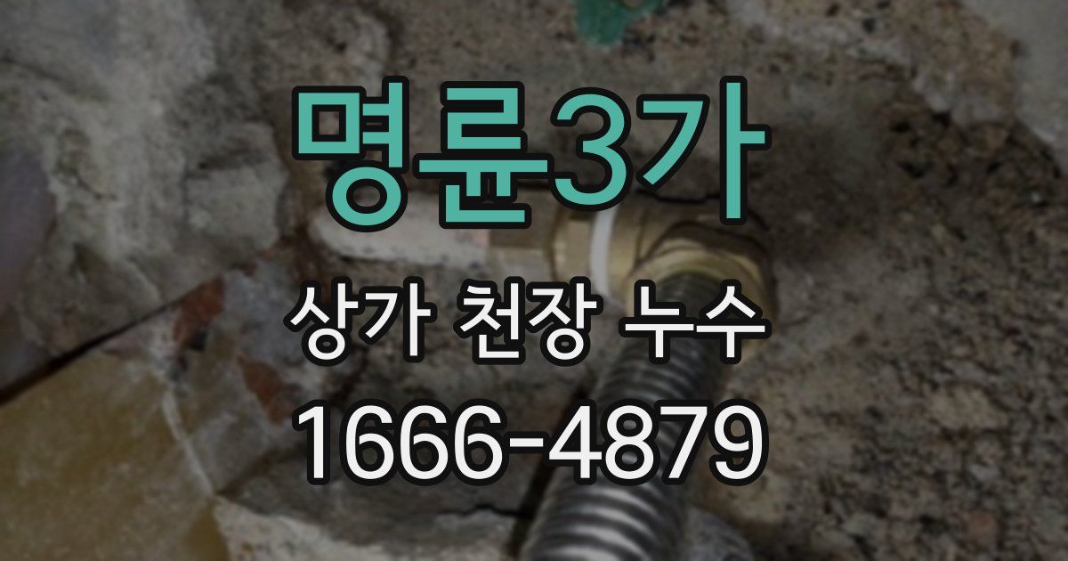 명륜3가 상가 천장 누수