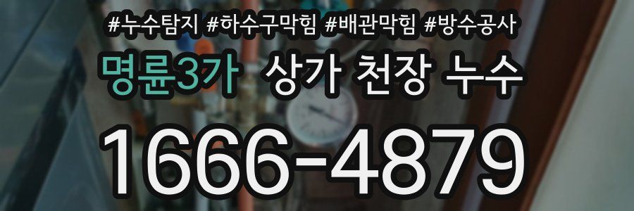 명륜3가 상가 천장 누수