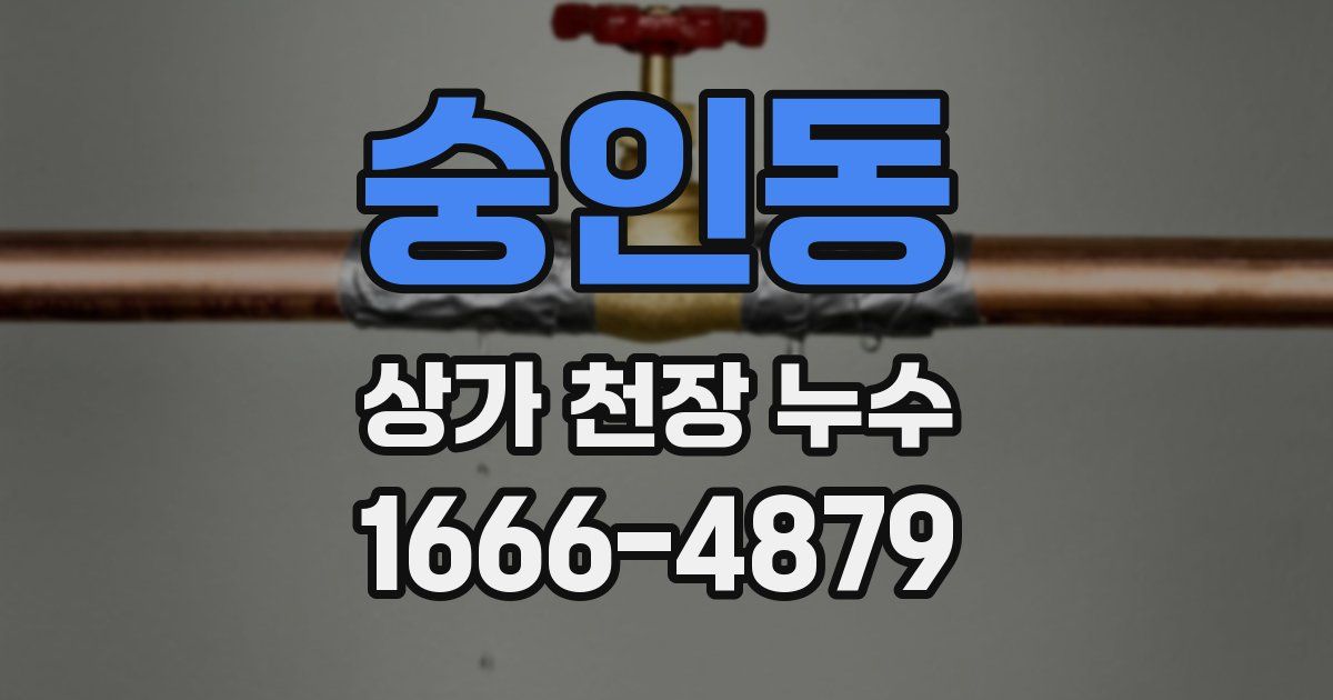 숭인동 상가 천장 누수