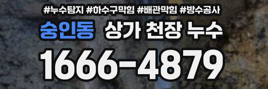 숭인동 상가 천장 누수