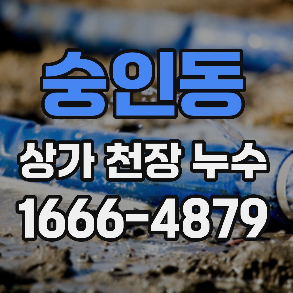 숭인동 상가 천장 누수