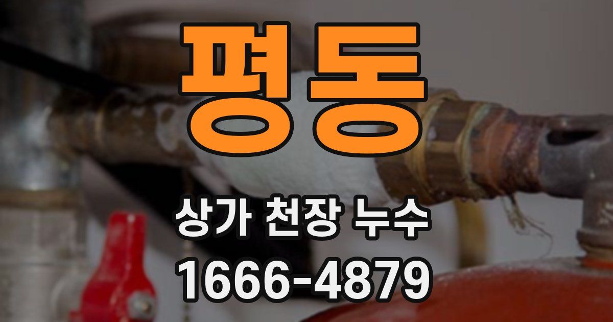 평동 상가 천장 누수