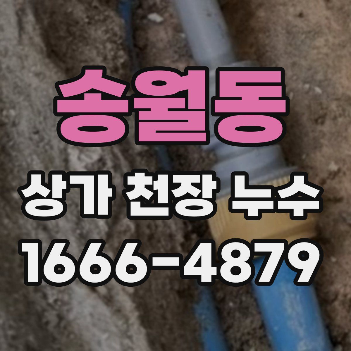 송월동 상가 천장 누수