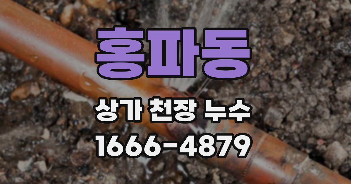 홍파동 상가 천장 누수