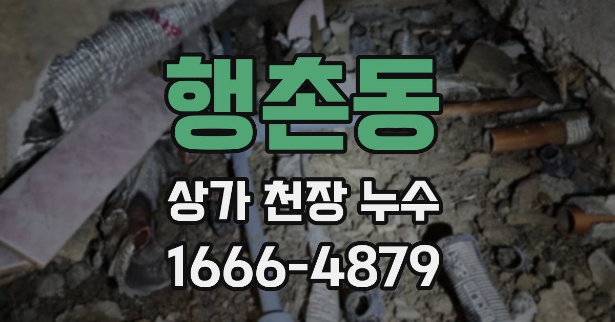 행촌동 상가 천장 누수
