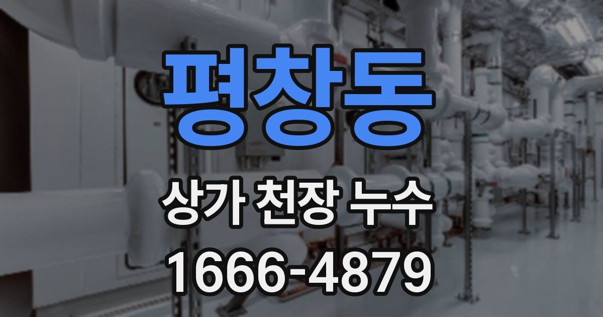 평창동 상가 천장 누수