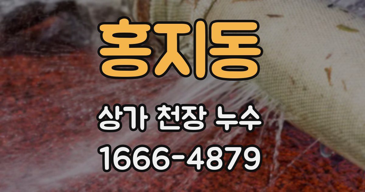 홍지동 상가 천장 누수