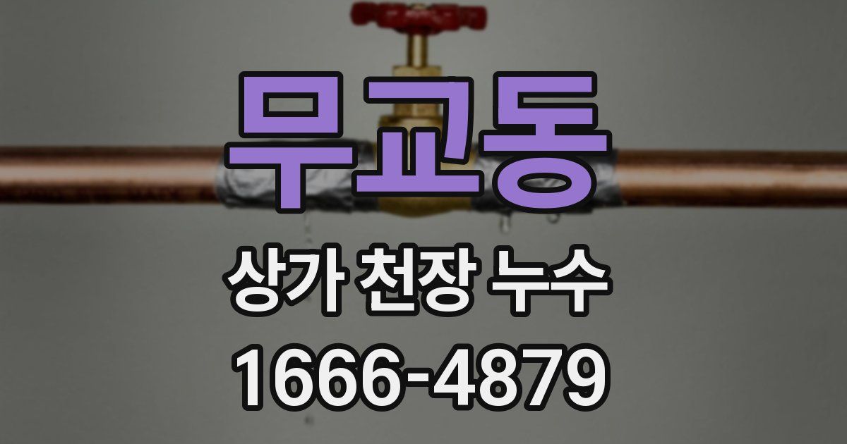 무교동 상가 천장 누수