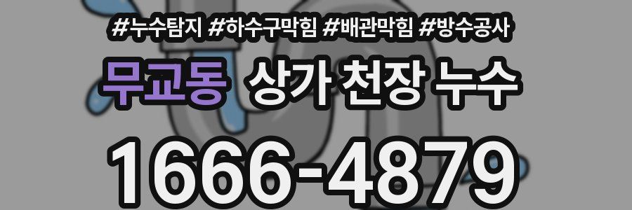 무교동 상가 천장 누수