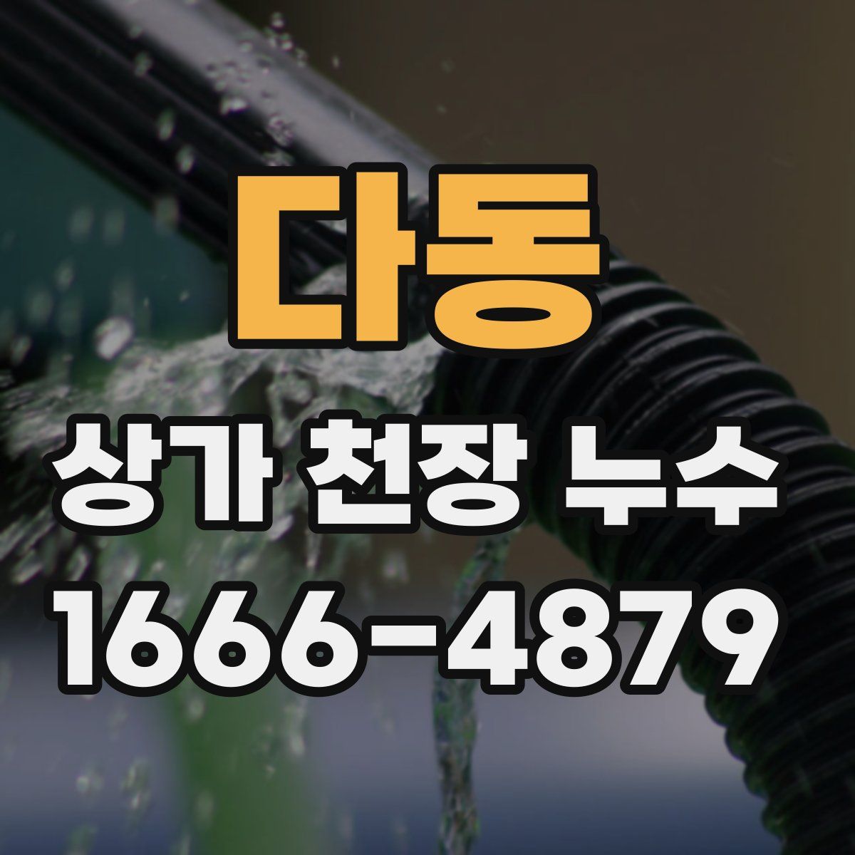 다동 상가 천장 누수