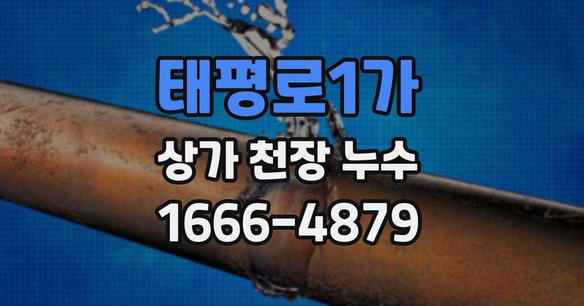 태평로1가 상가 천장 누수