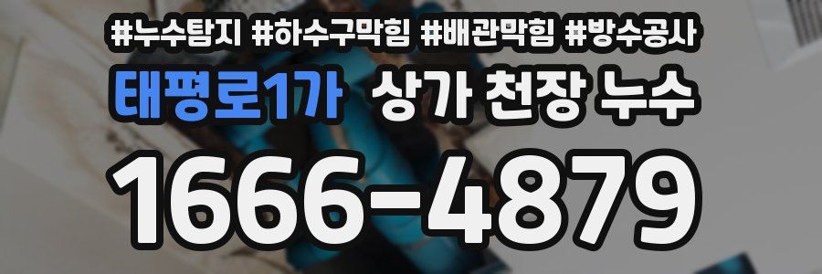 태평로1가 상가 천장 누수