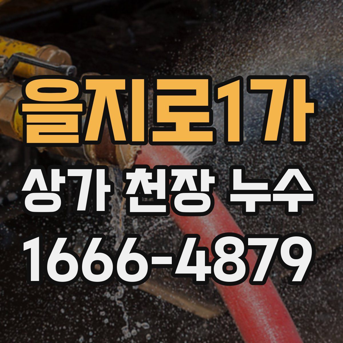 을지로1가 상가 천장 누수