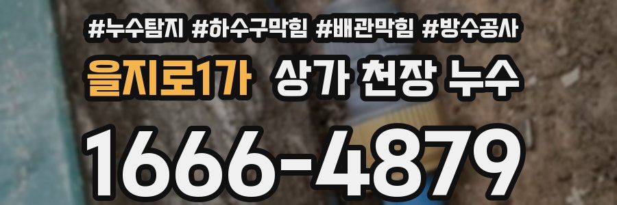 을지로1가 상가 천장 누수