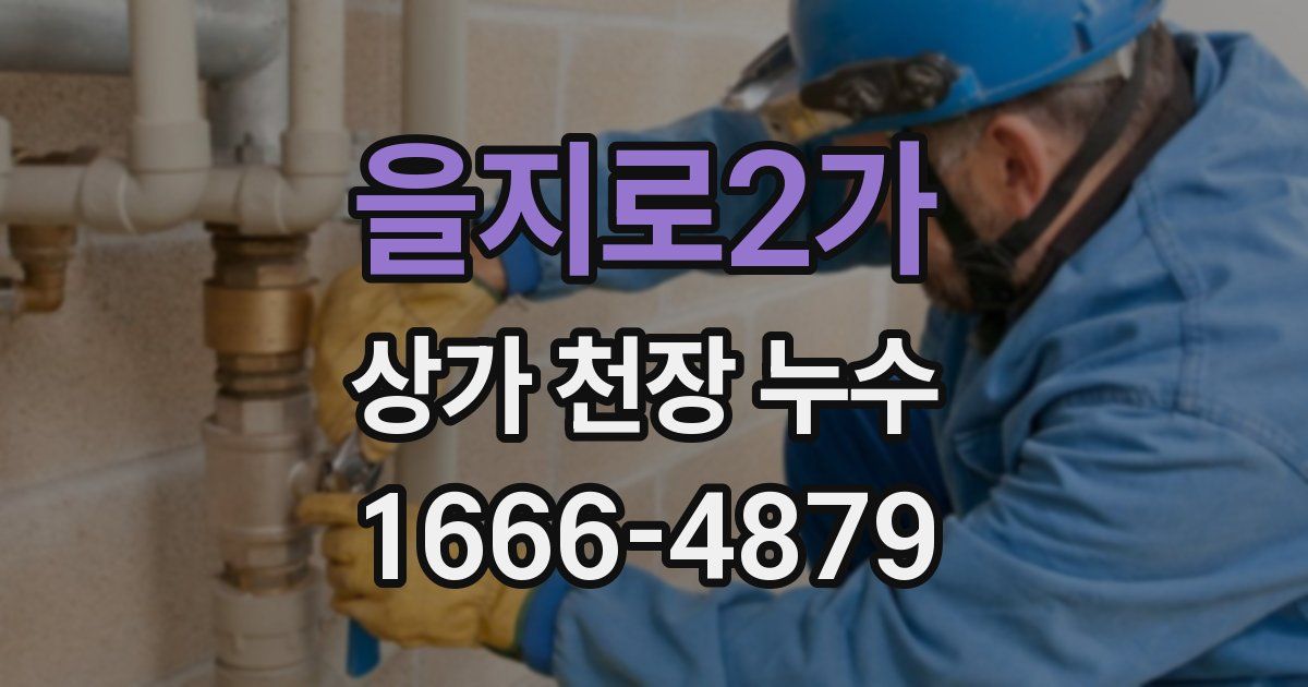 을지로2가 상가 천장 누수