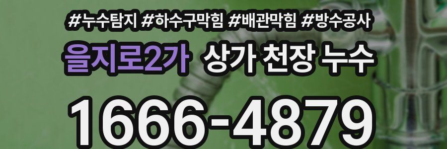 을지로2가 상가 천장 누수