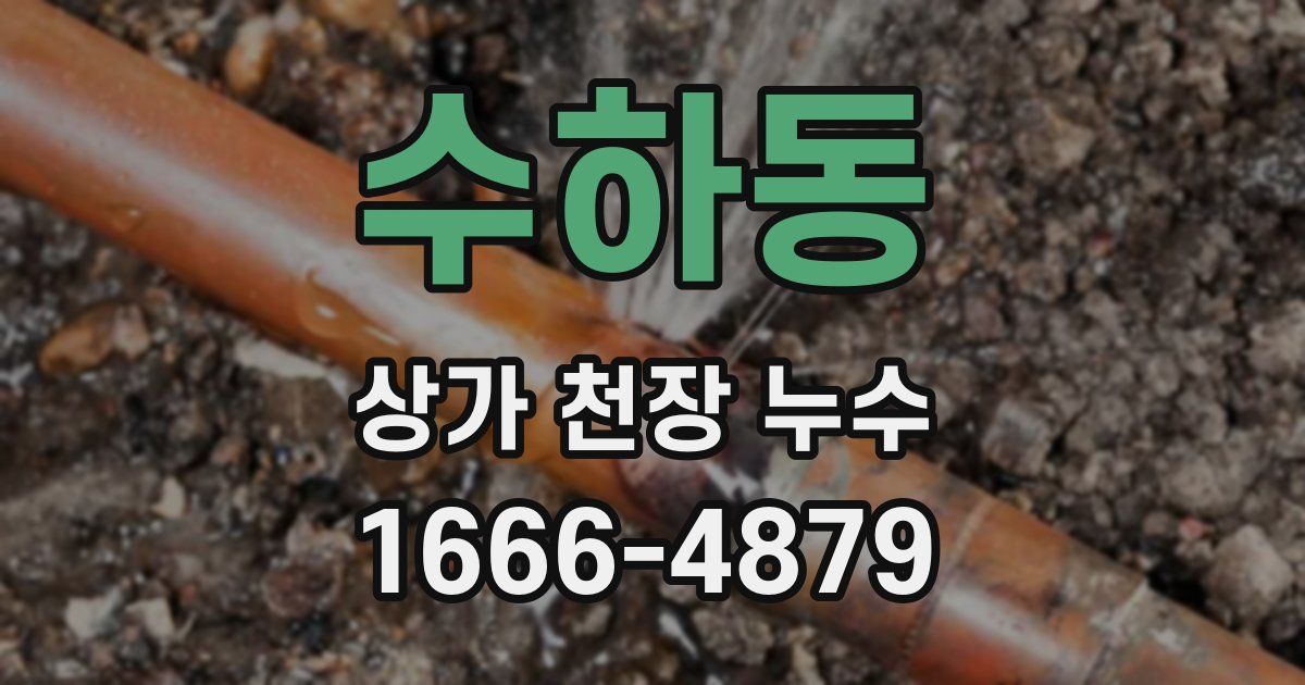 수하동 상가 천장 누수