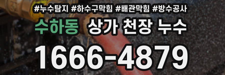수하동 상가 천장 누수