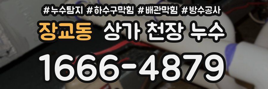 장교동 상가 천장 누수