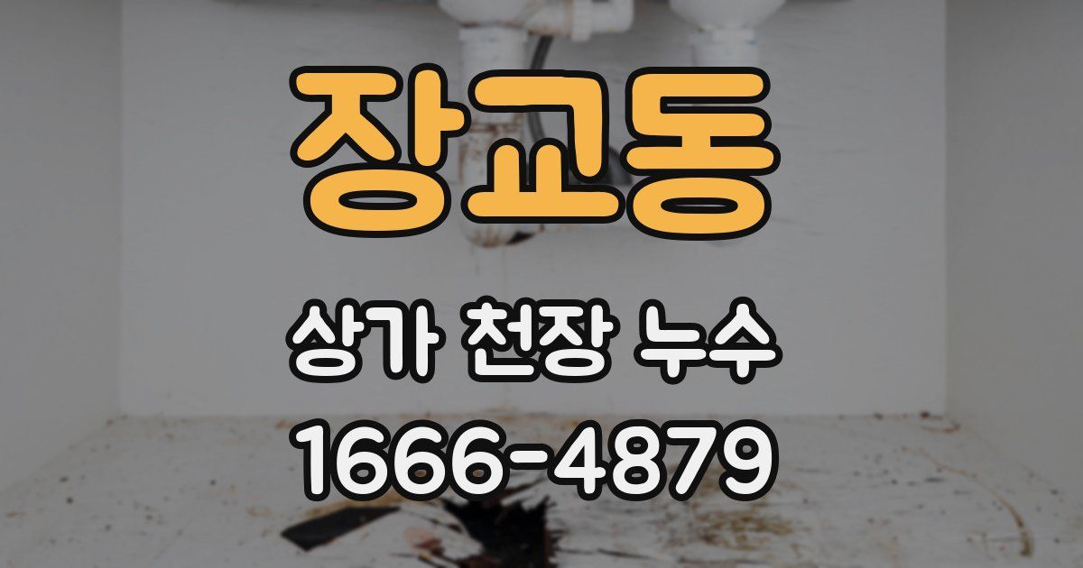 장교동 상가 천장 누수