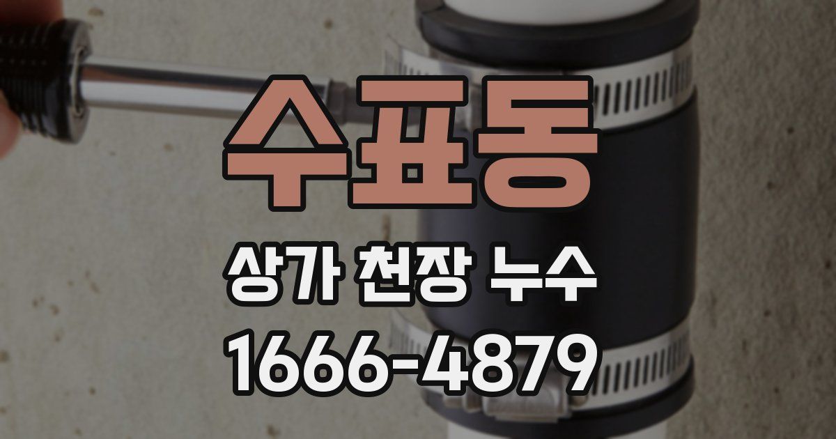 수표동 상가 천장 누수