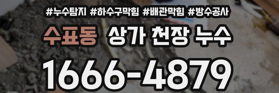 수표동 상가 천장 누수