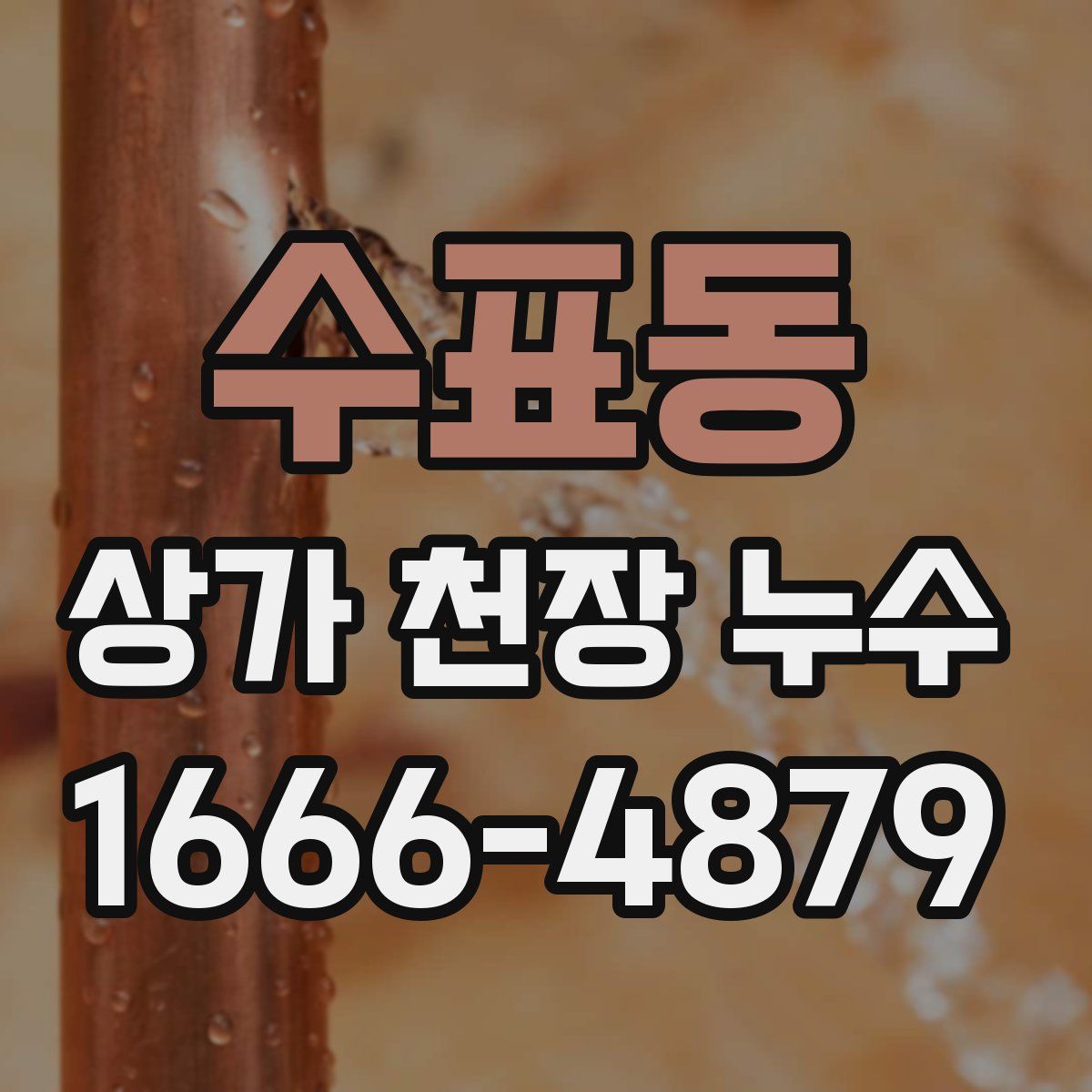 수표동 상가 천장 누수