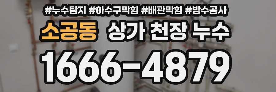 소공동 상가 천장 누수