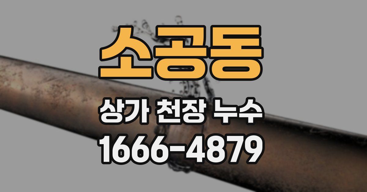소공동 상가 천장 누수