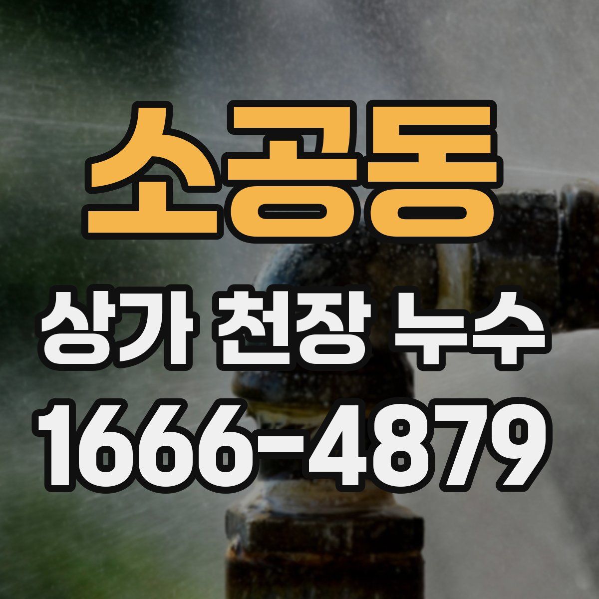 소공동 상가 천장 누수