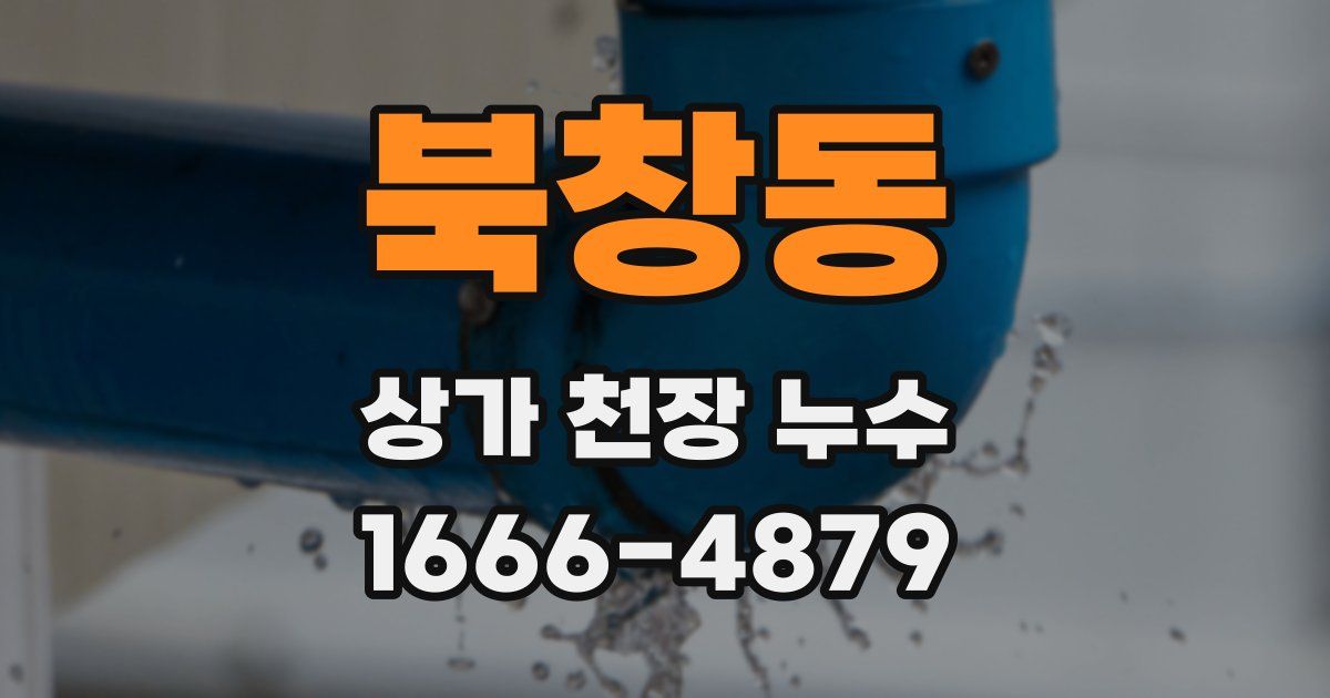 북창동 상가 천장 누수
