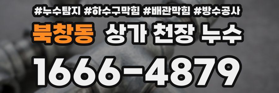 북창동 상가 천장 누수