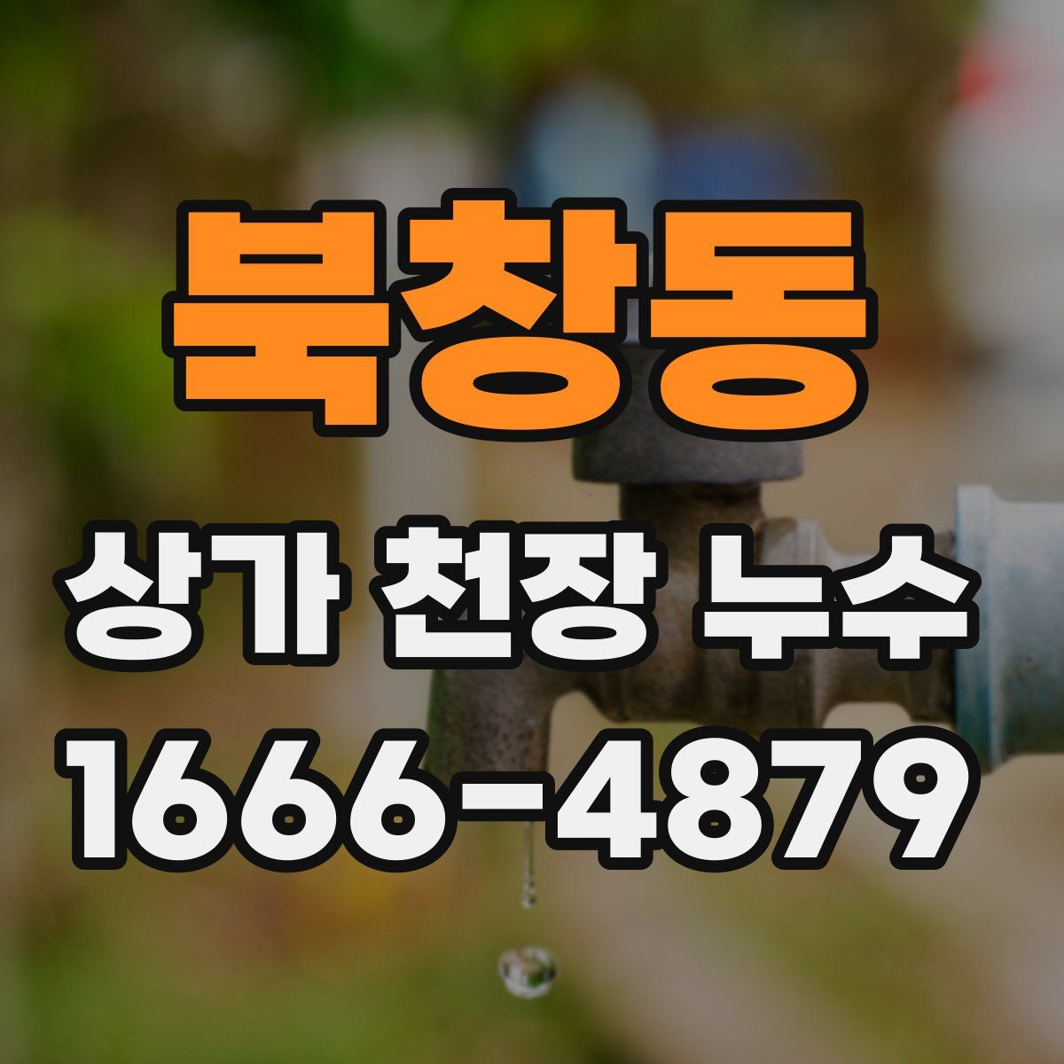 북창동 상가 천장 누수