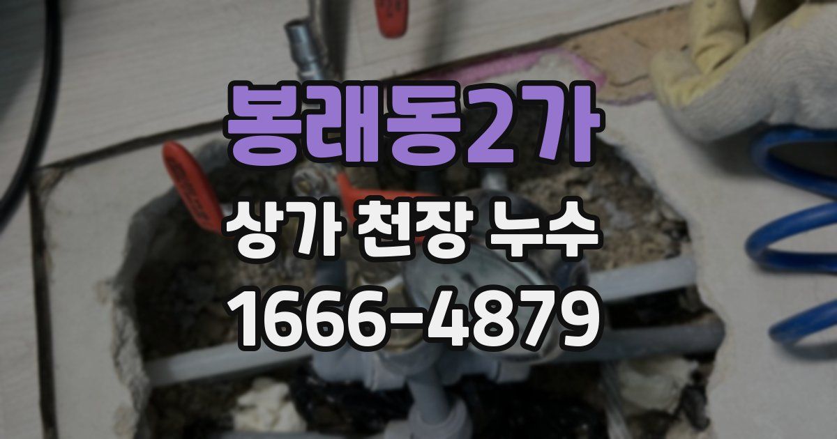 봉래동2가 상가 천장 누수