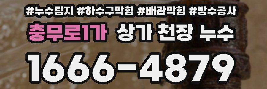 충무로1가 상가 천장 누수