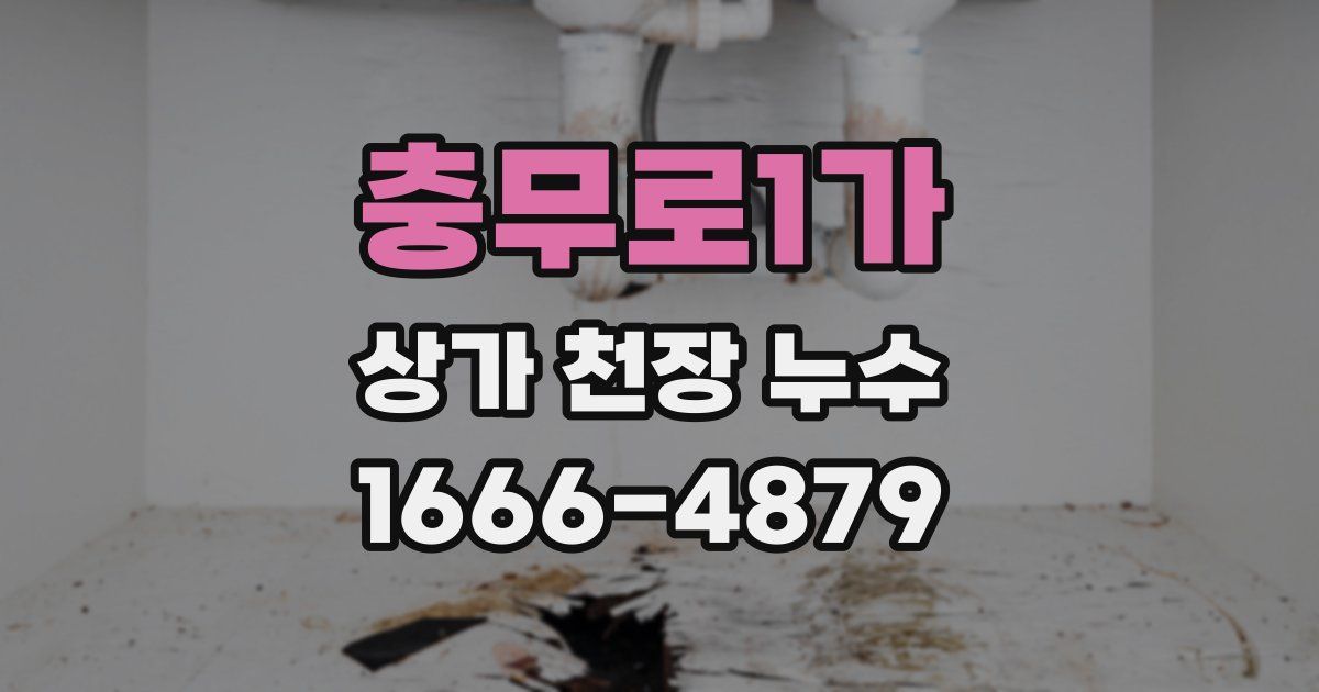 충무로1가 상가 천장 누수