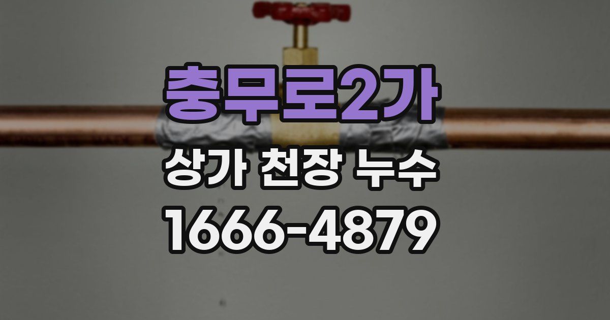 충무로2가 상가 천장 누수