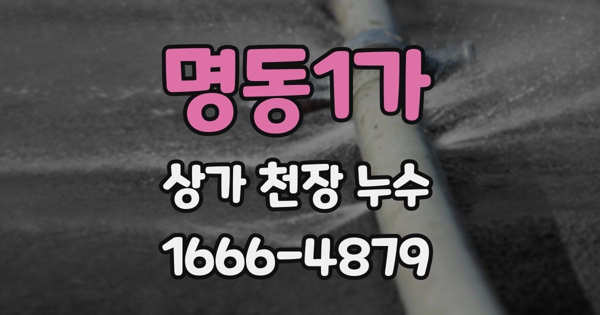 명동1가 상가 천장 누수