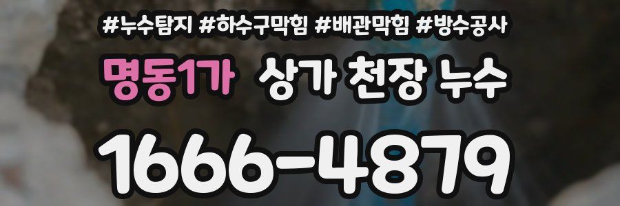 명동1가 상가 천장 누수