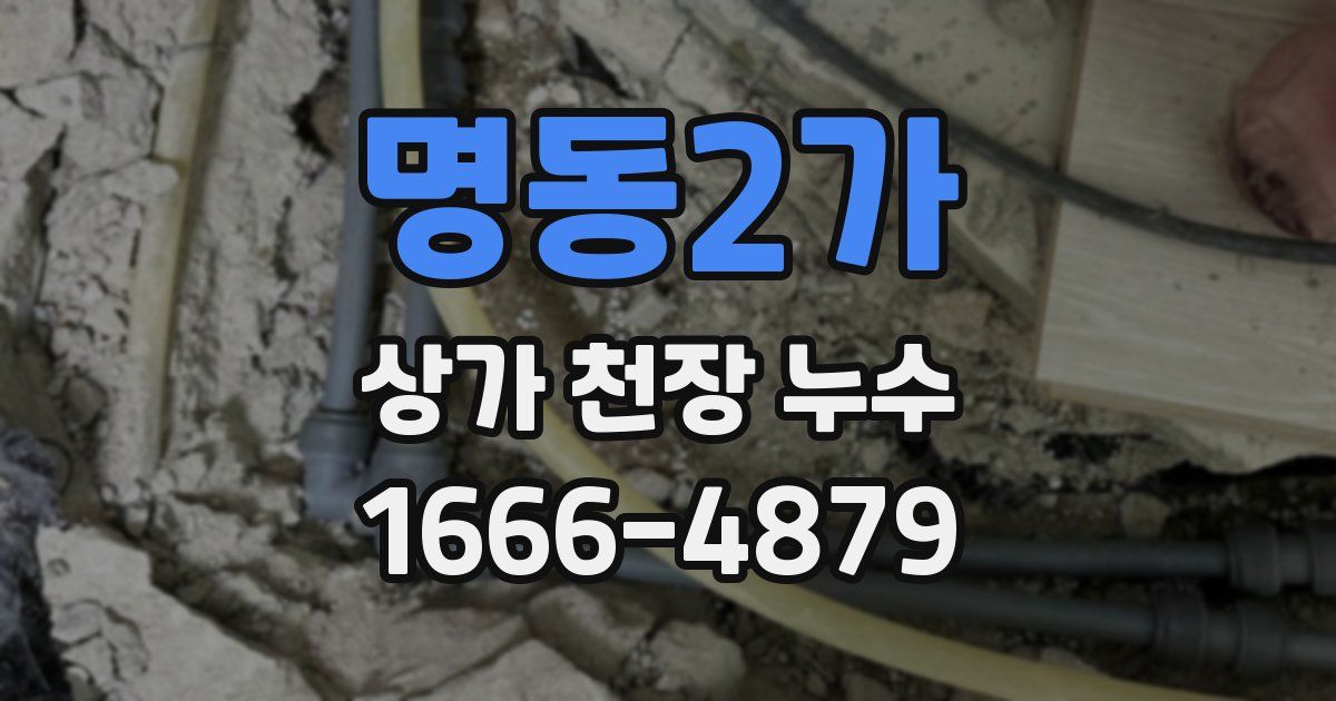 명동2가 상가 천장 누수