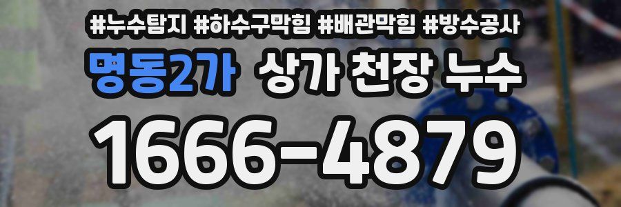 명동2가 상가 천장 누수