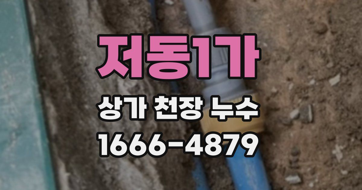 저동1가 상가 천장 누수